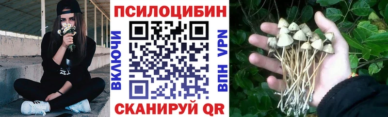 Галлюциногенные грибы Cubensis Каргополь
