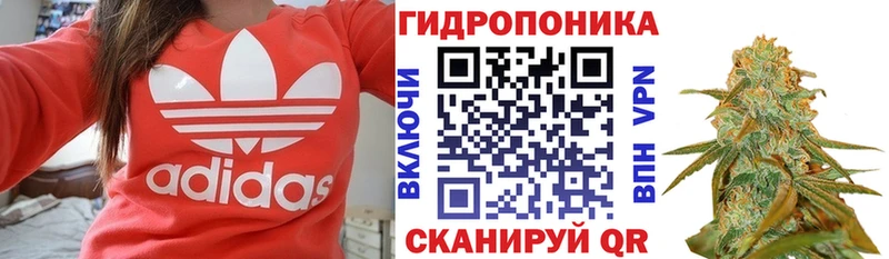 Купить  Каргополь  Марихуана Bruce Banner 